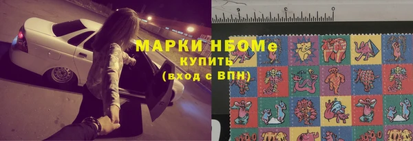 индика Богданович