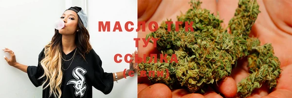 индика Богданович