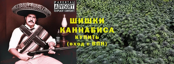 гашик Богородск