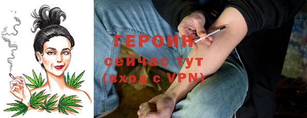 индика Богданович
