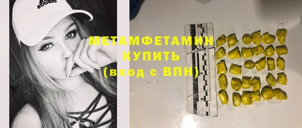индика Богданович