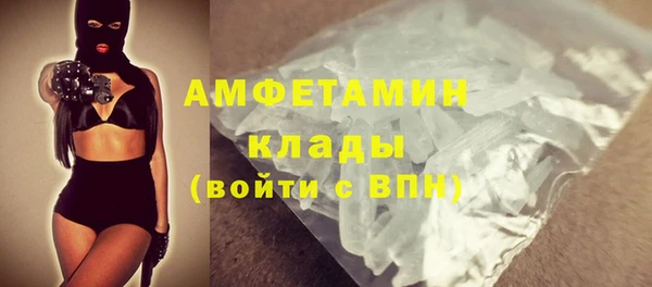 индика Богданович