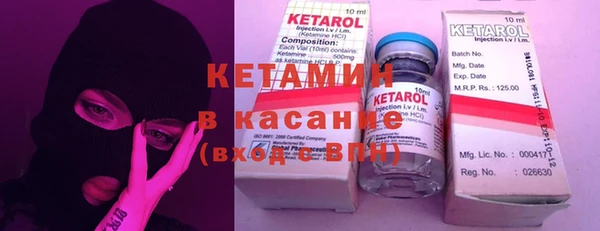индика Богданович