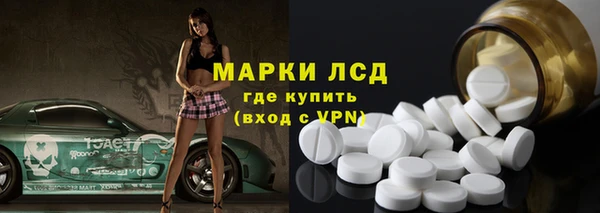 индика Богданович