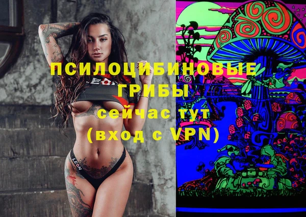 индика Богданович