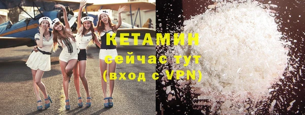 индика Богданович