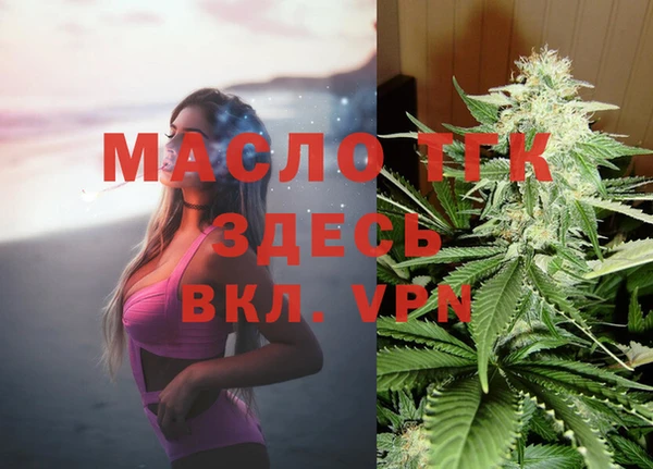 гашик Богородск