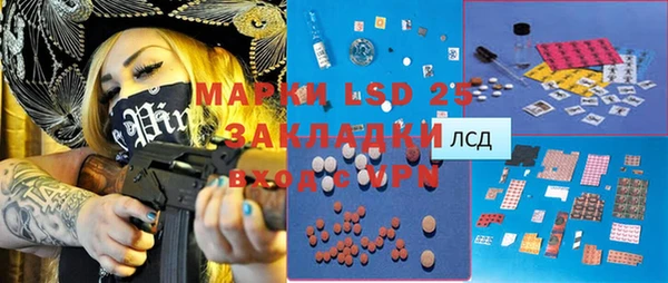 индика Богданович