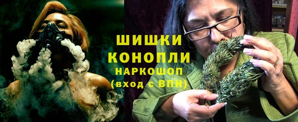 гашик Богородск