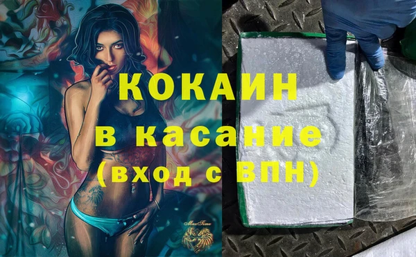индика Богданович