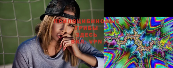 гашик Богородск