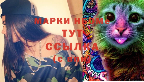 гашик Богородск