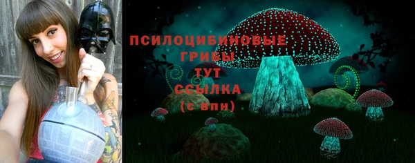 винт Богородицк