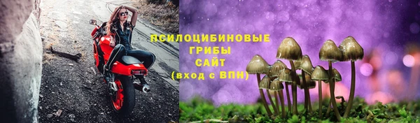 винт Богородицк