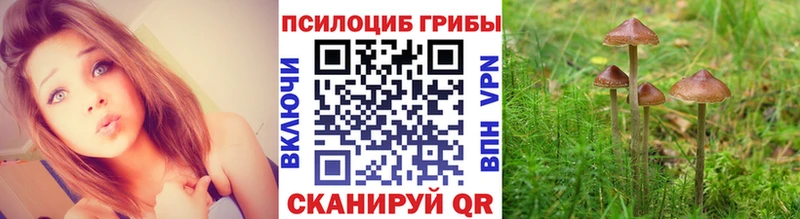 ОМГ ОМГ ССЫЛКА  Сосногорск  Галлюциногенные грибы Magic Shrooms 
